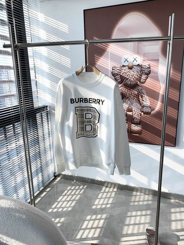 Burberry Sweatshirt Wmns ID:20241204-54